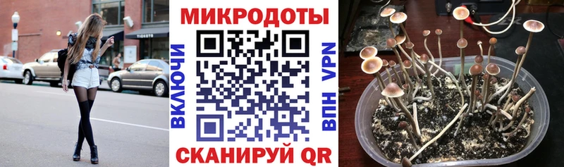Псилоцибиновые грибы GOLDEN TEACHER Кола